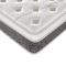 Rolle im Kasten-Taschen-Frühlings-Matratzen-orthopädischer Latex-kundenspezifischen Logo